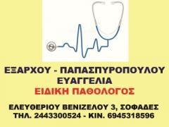 ΠΑΘΟΛΟΓΟΣ ΣΟΦΑΔΕΣ ΚΑΡΔΙΤΣΑ ΕΞΑΡΧΟΥ ΠΑΠΑΣΠΥΡΟΠΟΥΛΟΥ ΕΥΑΓΓΕΛΙΑ