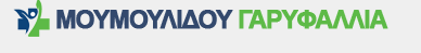 ΦΥΣΙΚΟΘΕΡΑΠΕΥΤΡΙΑ ΠΡΟΤΥΠΟ ΚΕΝΤΡΟ ΑΠΟΚΑΤΑΣΤΑΣΗΣ ΘΕΣΣΑΛΟΝΙΚΗ ΜΟΥΜΟΥΛΙΔΟΥ ΓΑΡΥΦΑΛΛΙΑ